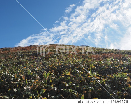Autumn scenery of Mt. Mantaro 119894576