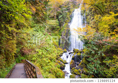 Akita Prefecture, Dakigaeri Valley, Kaikei Falls 119895114