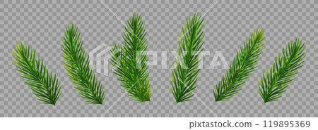 Christmas fir tree branches on transparent background. Pine, spruce green branches for Christmas decorations. Vector illustration Christmas fir tree branches on transparent background. Pine, spruce green branches for Christmas decorations. Vector illustration 119895369