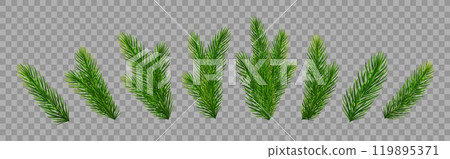 Christmas fir tree branches on transparent background. Pine, spruce green branches for Christmas decorations. Vector illustration 119895371