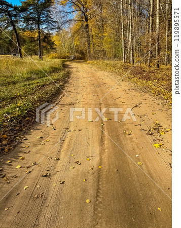 A sandy road runs through a picturesque wild autumn forest on sunny day. High quality photo A sandy road runs through a picturesque wild autumn forest on sunny day. High quality photo 119895571