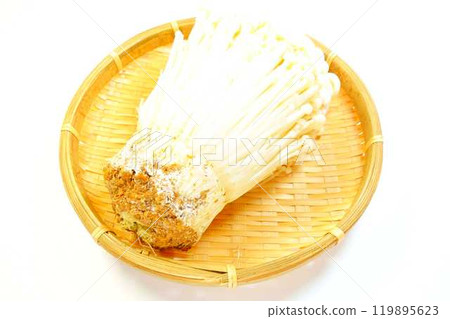 金針菇 金針菇 滑菇 虎耳草菇 金針菇 金針菇 滑菇 虎耳草菇 119895623