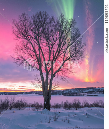 Stunning Aurora Borealis Over Snowy Landscape... - Stock Illustration ...