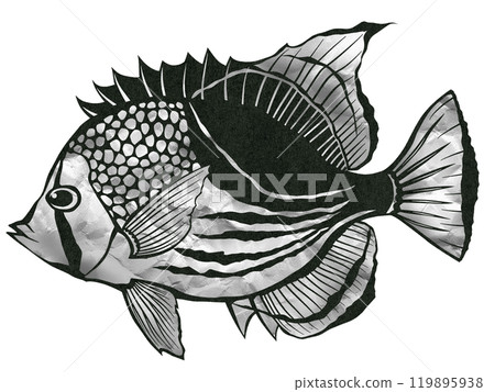 熱帶魚，黑白蝴蝶魚的黑白剪紙插圖。 119895938
