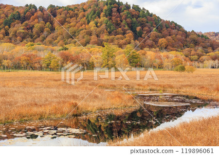Autumn in Oze: Autumn leaves of grass and forest, Yamanohana to Ryugu Autumn in Oze: Autumn leaves of grass and forest, Yamanohana to Ryugu 119896061