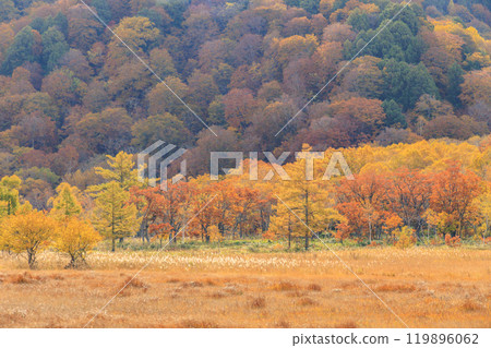 Autumn in Oze: Autumn leaves of grass and forest, Yamanohana to Ryugu 119896062