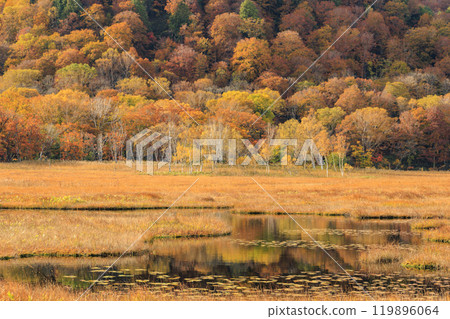 Autumn in Oze: Autumn leaves of grass and forest, Yamanohana to Ryugu Autumn in Oze: Autumn leaves of grass and forest, Yamanohana to Ryugu 119896064