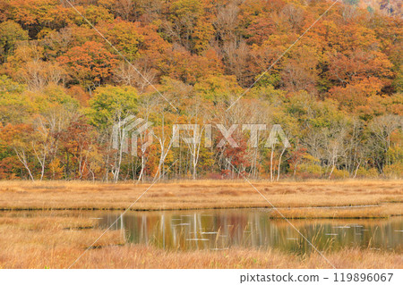 Autumn in Oze: Autumn leaves of grass and forest, Yamanohana to Ryugu 119896067