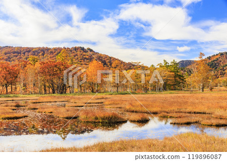 Autumn in Oze: Autumn leaves of grass and forest, Yamanohana to Ryugu 119896087