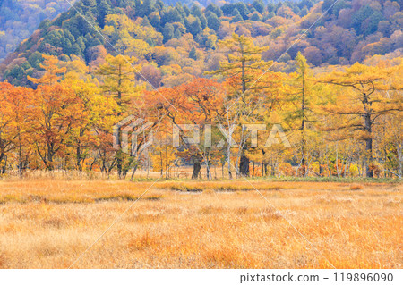 Autumn in Oze: Autumn leaves of grass and forest, Yamanohana to Ryugu 119896090