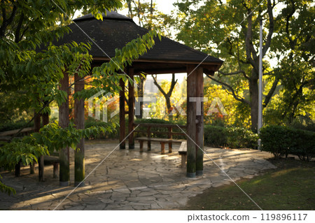 寺池的傍晚 119896117