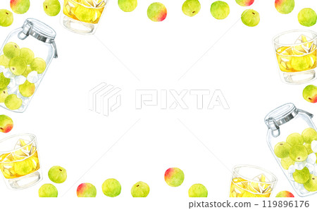 Frame of green plums and plum wine (plum syrup) Hand-drawn watercolor illustration background material of vegetables and fruits 119896176
