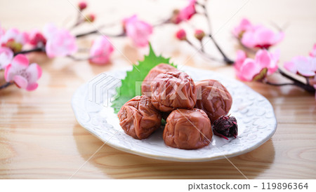 Kishu Nanko Plums Pickled in Shiso (Bright table background) 119896364