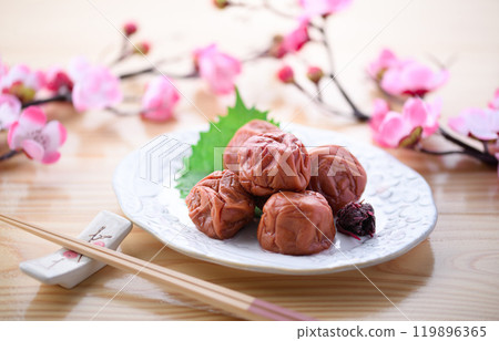 Kishu Nanko Plums Pickled in Shiso (Bright table background) Kishu Nanko Plums Pickled in Shiso (Bright table background) 119896365