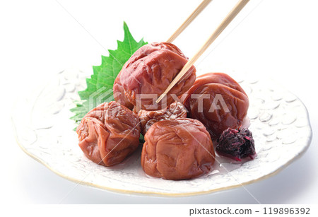 紀州南古梅醃李子（白色背景） 119896392