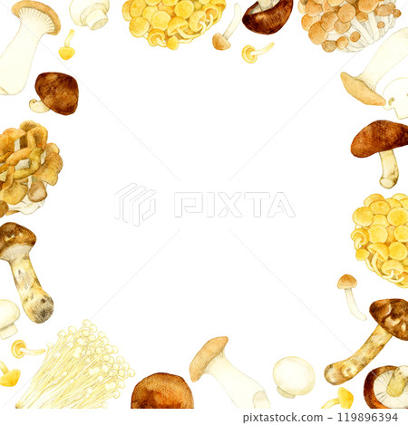 Edible mushroom frame Vegetable hand-drawn watercolor illustration background material Edible mushroom frame Vegetable hand-drawn watercolor illustration background material 119896394