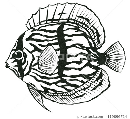 觀賞魚七彩的簡單黑白剪紙插圖 119896714