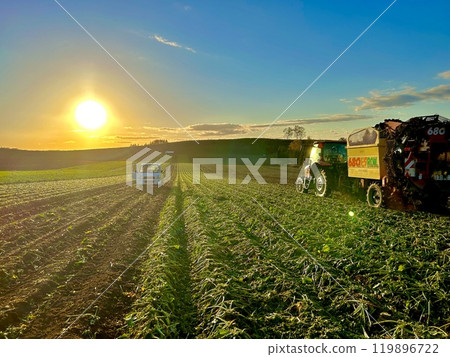 Farm work and harvesting 119896722