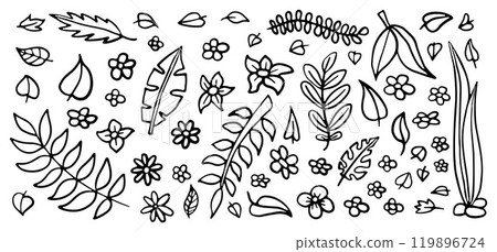 Collection of black and white botanical line drawings featuring a variety of leaves and flowers, perfect for elegant designs. 119896724