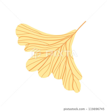 Yellow ginkgo leaf illustration with detailed veins on a white background. Simple and elegant design Yellow ginkgo leaf illustration with detailed veins on a white background. Simple and elegant design 119896745