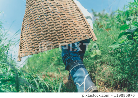 Entering the mountains with a bamboo winnowing basket Entering the mountains with a bamboo winnowing basket 119896976