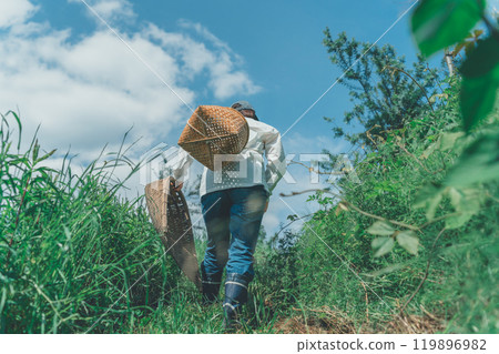 Entering the mountains with a harvest basket and bamboo winnowing basket Entering the mountains with a harvest basket and bamboo winnowing basket 119896982