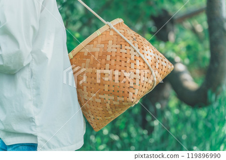 Harvest Basket 119896990