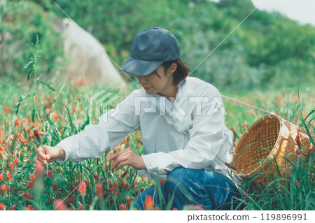 花農收穫草莓蠟燭 花農收穫草莓蠟燭 119896991
