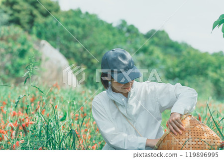 花農收穫草莓蠟燭 119896995