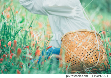 花農收穫草莓蠟燭 119897021