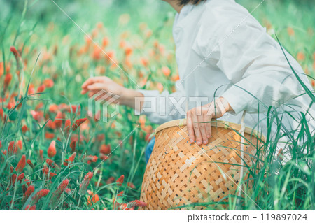 摘草莓蠟燭的女人 摘草莓蠟燭的女人 119897024