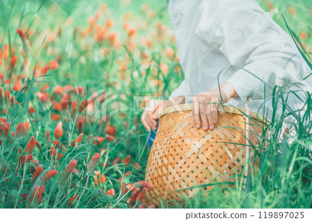 Woman picking strawberry candles Woman picking strawberry candles 119897025