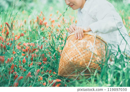 摘草莓蠟燭的女人 摘草莓蠟燭的女人 119897030