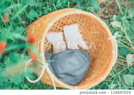 放置在田裡的收穫籃中的工作手套和帽子 119897034