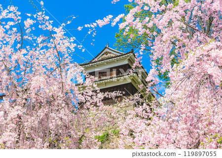 長野縣上田市上田城和盛開的櫻花 119897055