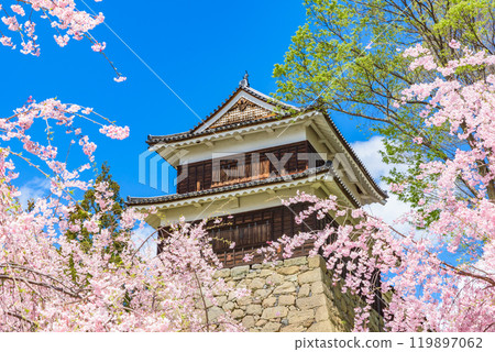 長野縣上田市上田城和盛開的櫻花 119897062