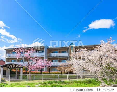 Designer apartment and cherry blossoms in full bloom Designer apartment and cherry blossoms in full bloom 119897086