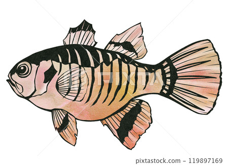 Cute sea fish, Tenjindai, paper cut illustration 119897169