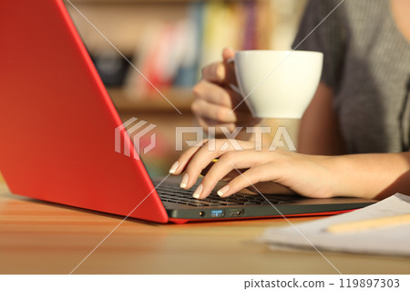 Girl hands checking on line with a laptop at home Girl hands checking on line with a laptop at home 119897303