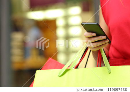 Shopper shopping with a smart phone 119897388