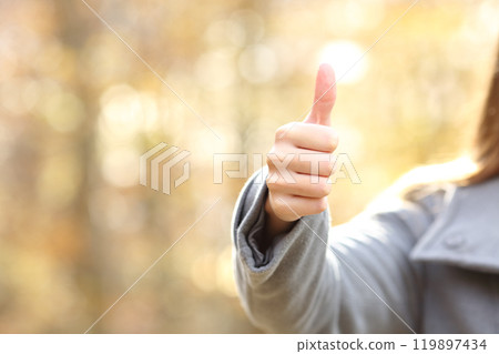Woman hand gesturing thumbs up in a park in autumn Woman hand gesturing thumbs up in a park in autumn 119897434