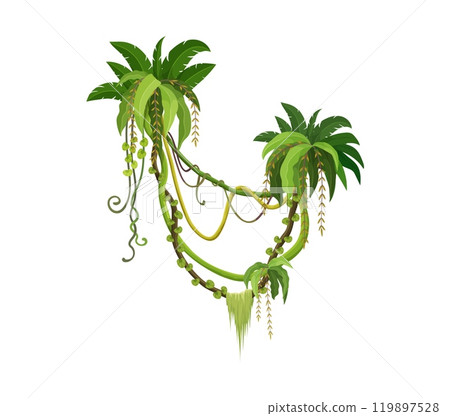 Tropical jungle rainforest vertical liana vine branch with leaves, vector ivy plant. Cartoon tropical liana of creeping jungle tree or bindweed plant with tendrils and monstera leaves from rainforest 119897528
