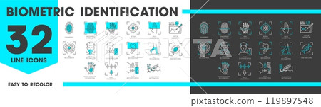 Biometric identification, recognition and verification line icons. Vector outline face and fingerprint scan, identity id, voice access and digital signature, DNA, eye, palm and ear recognition signs 119897548