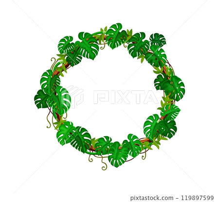 Jungle monstera leaves and liana round frame. Tropical forest nature vine shrub leaves isolated cartoon vector round frame, African rainforest flora creeper liana branch, ivy plant circle 119897599