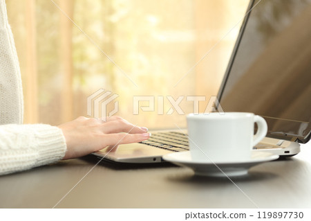 Woman hands using laptop sitting on a table at home 119897730