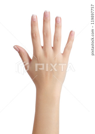 Woman open hand with french manicure 119897757
