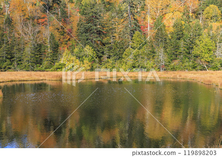 Autumn in Oze: Autumn leaves on the grass and in the forest: Numajiri - Shirasuna Pass - Miharashi Autumn in Oze: Autumn leaves on the grass and in the forest: Numajiri - Shirasuna Pass - Miharashi 119898203