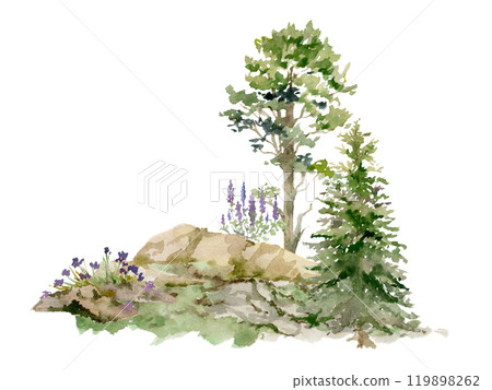 Scenery landscape of forest meadow grassland with bushes flowers, pine fir spruce tree on alpine rocks, hand drawn in watercolor. Illustration for tourism, resort ads, hiking camping sites vacation. Scenery landscape of forest meadow grassland with bushes flowers, pine fir spruce tree on alpine rocks, hand drawn in watercolor. Illustration for tourism, resort ads, hiking camping sites vacation. 119898262