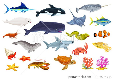 Cartoon underwater animal and fish characters. Cute sea and ocean life vector personages. Marine turtle, whale, hammerhead shark and orca, funny crab, starfish, stingray, narwhal, shrimp and corals 119898740
