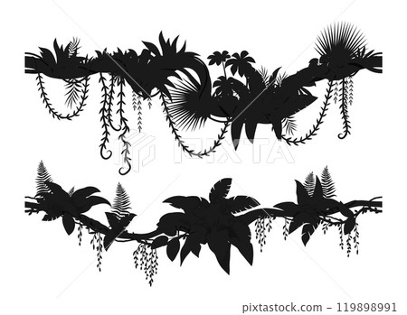Tropical forest liana silhouettes of vector jungle tree branches with climbing plant and creeper vines, moss and fern leaves. Rainforest jungle liana isolated silhouettes, border lines and dividers Tropical forest liana silhouettes of vector jungle tree branches with climbing plant and creeper vines, moss and fern leaves. Rainforest jungle liana isolated silhouettes, border lines and dividers 119898991